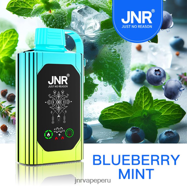 JNR Vape Price - JNR SHISHA caja menta de arándanos 8888TV88