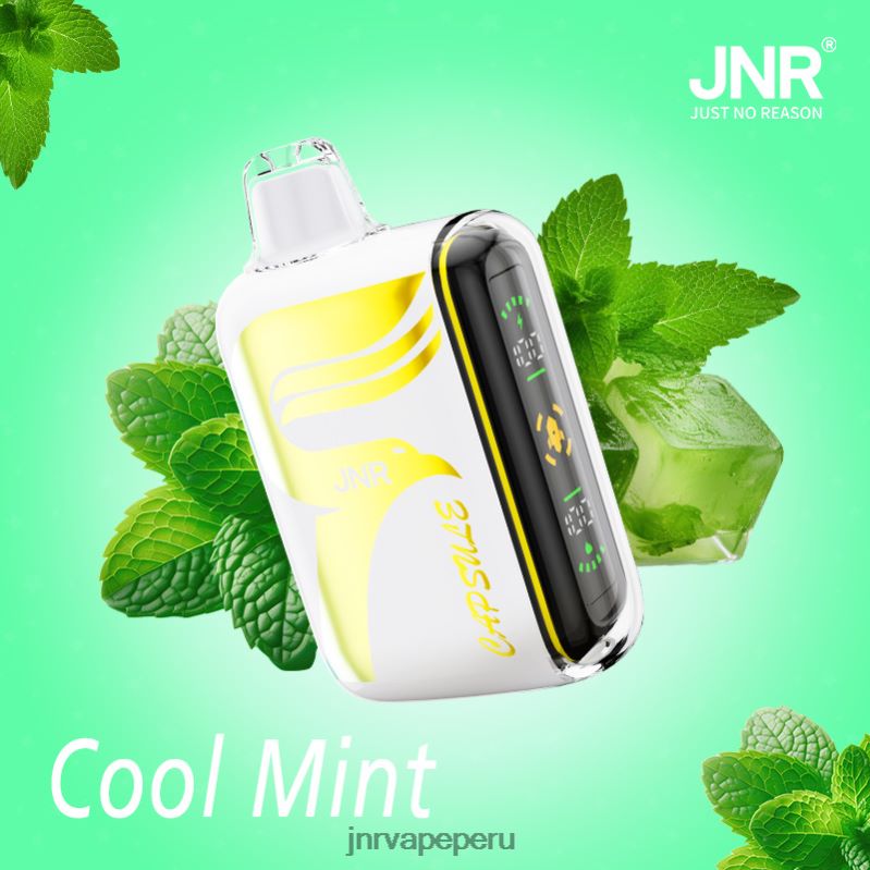 JNR Vape Lima - JNR cápsula menta fresca 8888TV62