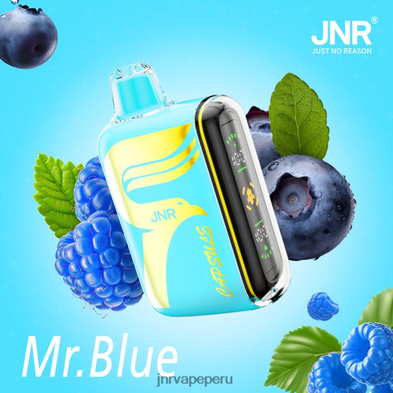 JNR Vape Pods - JNR cápsula señor azul 8888TV64