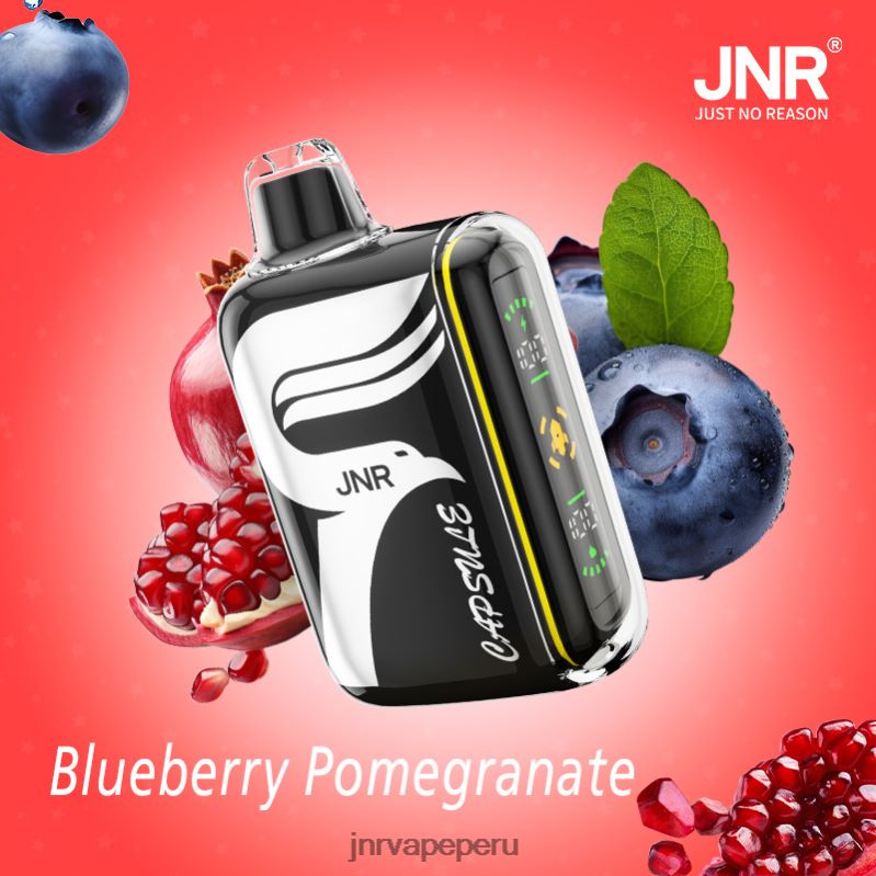 JNR Vape Review - JNR cápsula arándano-granada 8888TV59