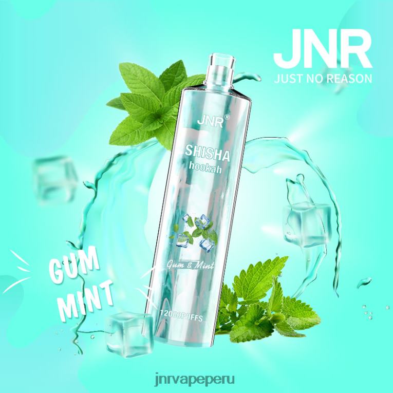 JNR Vape Flavours - shisha jnr chicle y menta S6JHJ164