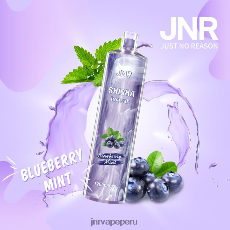 JNR Vape Peru - shisha jnr menta de arándanos S6JHJ172